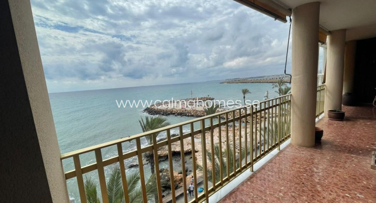 Apartment - Resale - Torrevieja - Torrevieja