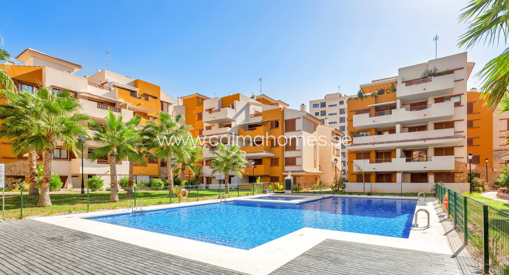 Apartment - Sprzedaż - Punta Prima - La Recoleta