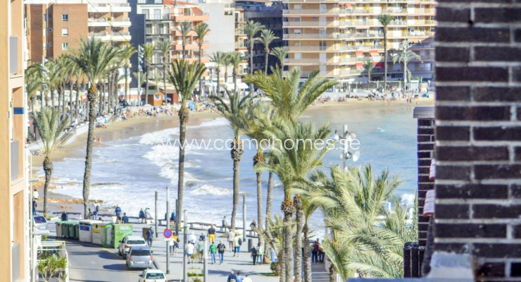 Apartment - Sprzedaż - Torrevieja - Centro Torrevieja