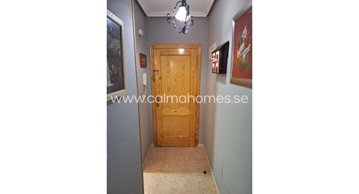 Apartment - Sprzedaż - Torrevieja - Centro