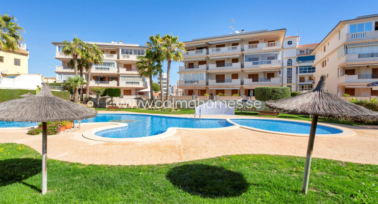 Apartment - Sprzedaż - Torrevieja - La Mata