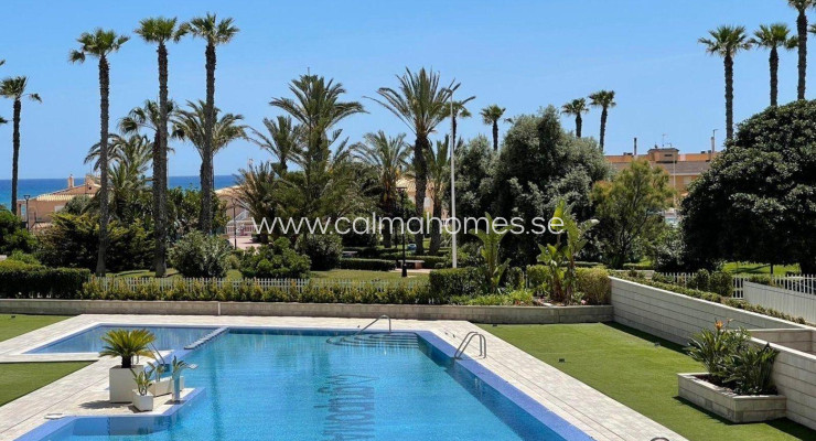Apartment - Sprzedaż - Torrevieja - La Mata
