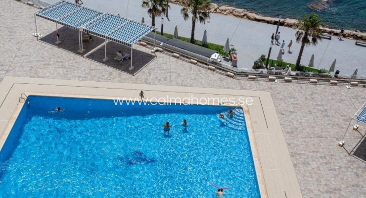 Apartment - Sprzedaż - Torrevieja - Playa del Cura