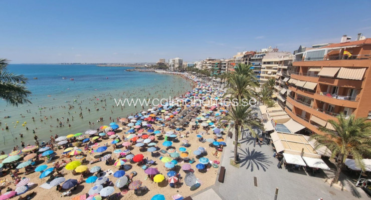 Apartment - Sprzedaż - Torrevieja - Playa del Cura