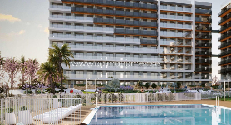 Apartment - Sprzedaż - Torrevieja - Punta Prima