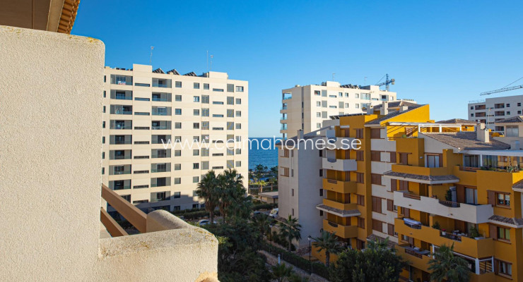 Apartment - Sprzedaż - Torrevieja - Punta Prima