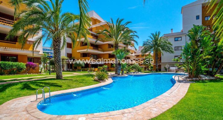 Apartment - Sprzedaż - Torrevieja - Punta Prima