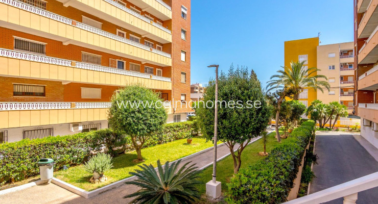 Apartment - Sprzedaż - Torrevieja - Punta Prima