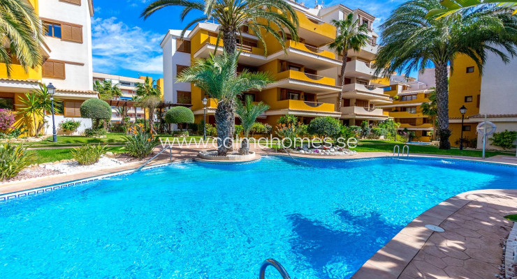 Apartment - Sprzedaż - Torrevieja - Punta Prima
