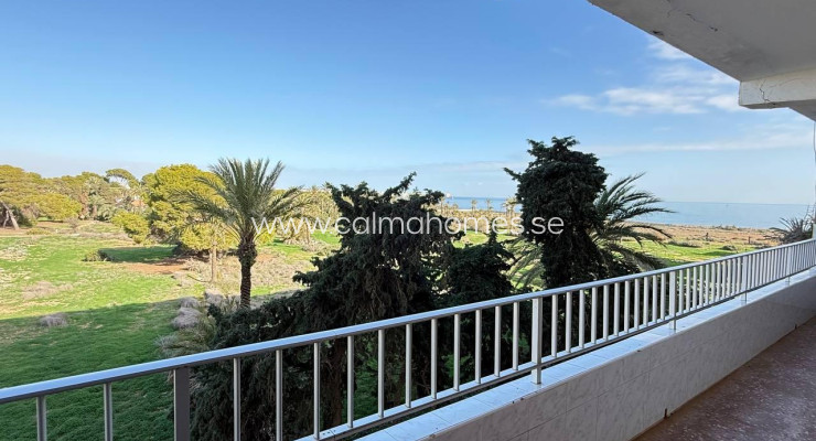 Apartment - Sprzedaż - Torrevieja - Punta Prima