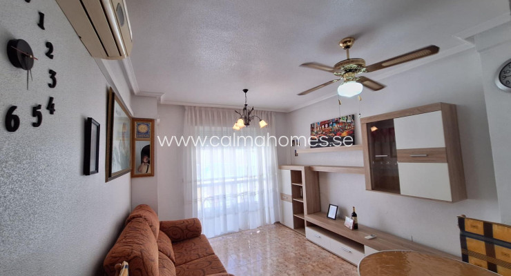 Apartment - Wynajem długoterminowy - Torrevieja - Estacion de autobuses