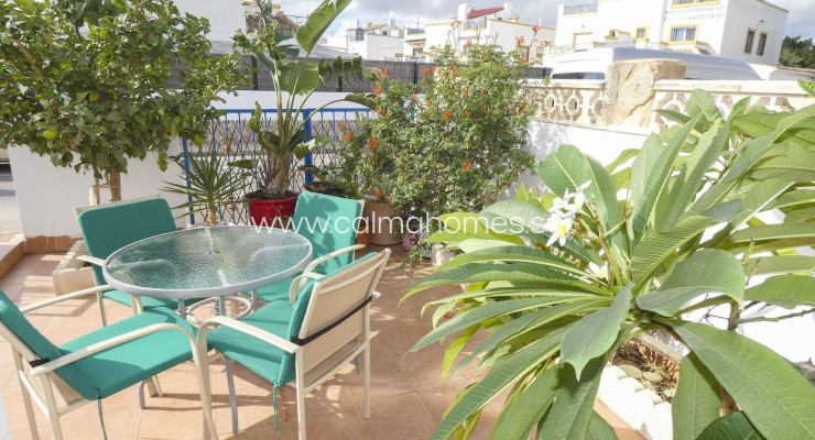 Bungalow - Sprzedaż - Torrevieja - Centro Torrevieja
