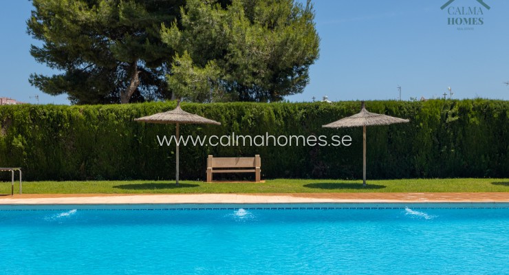Bungalow - Sprzedaż - Torrevieja - Nueva Torrevieja