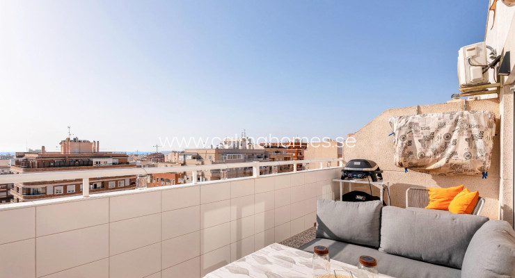 Daszek - Sprzedaż - Torrevieja - Centro