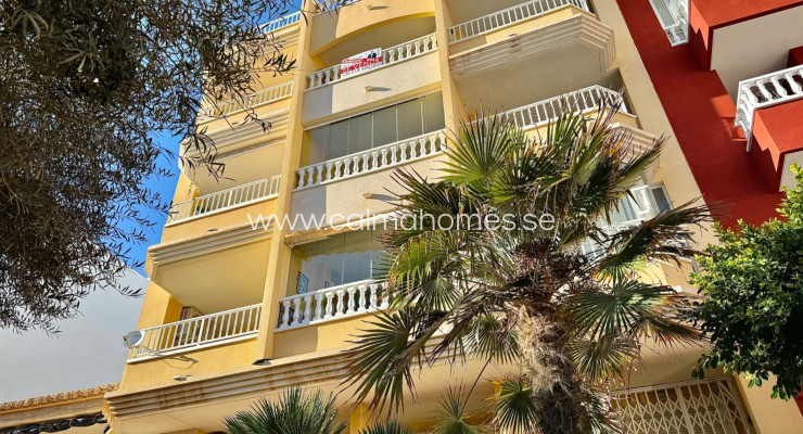 Daszek - Sprzedaż - Torrevieja - La Mata pueblo