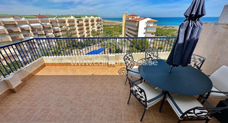 Daszek - Sprzedaż - Torrevieja - La Mata
