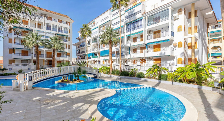 Daszek - Sprzedaż - Torrevieja - Los Europeos