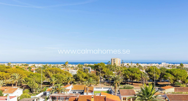 Daszek - Sprzedaż - Torrevieja - Nueva Torrevieja