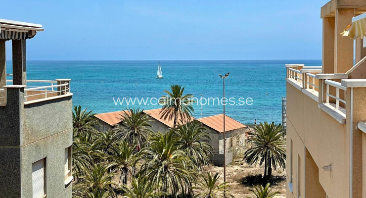 Daszek - Sprzedaż - Torrevieja - Playa del Cura
