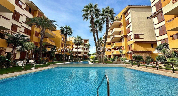 Ground Floor - Sprzedaż - Torrevieja -
                Punta Prima
