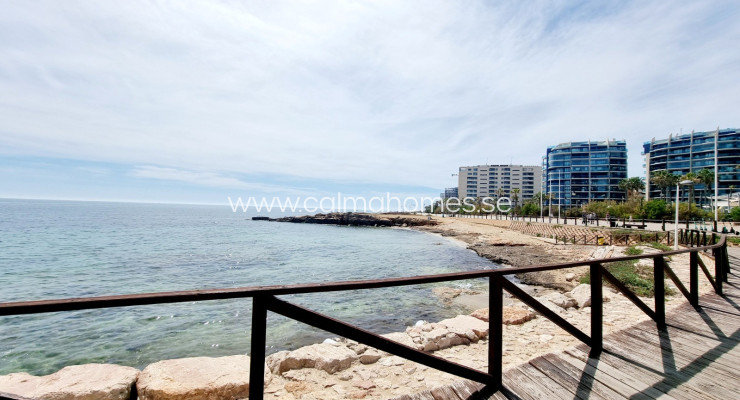Lägenhet / lägenhet - Resale - Torrevieja Centro -
                Torrevieja