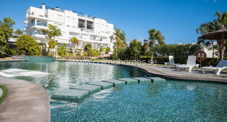 Loft - Sprzedaż - Torrevieja - Los Altos