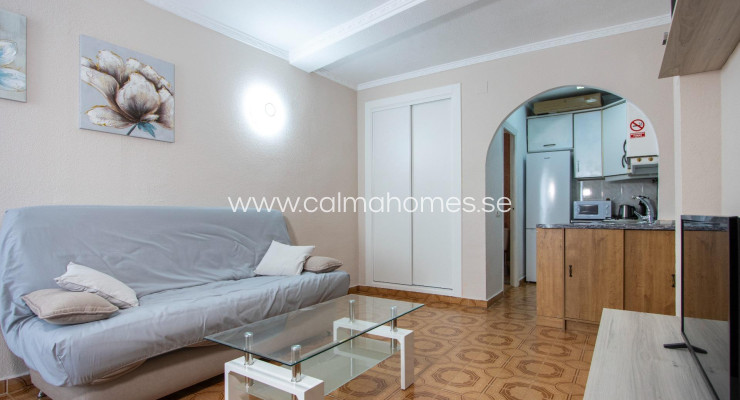 Studio - Wynajem długoterminowy - Torrevieja - Sector 25