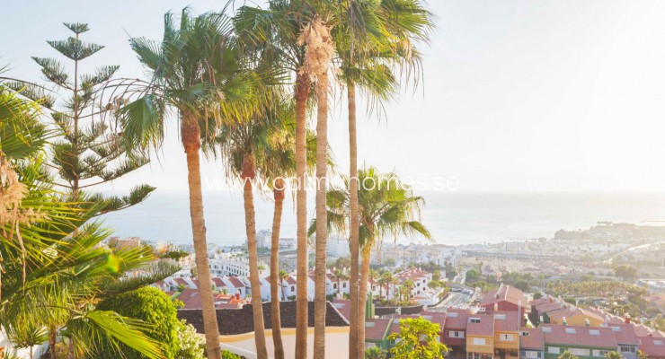 Villa - Sprzedaż - Santa Cruz de Tenerife - Finca La Multa