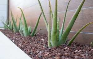 Venta - Villa -
Los Montesinos