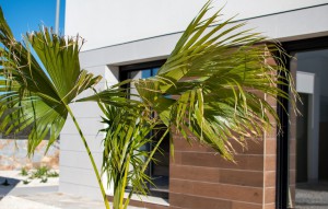 Venta - Villa -
Los Montesinos