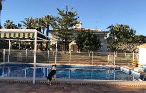 Sale - Detached house -
Cabo Roig