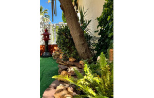 Sale - Villa -
Ciudad Quesada