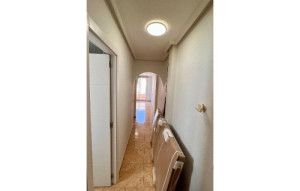 Sprzedaż - Flat -
Torrevieja