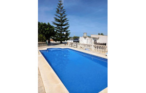 Venta - Finca -
Dolores