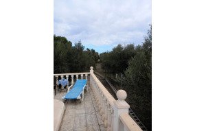 Venta - Finca -
Dolores