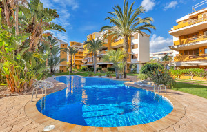 Venta - Apartment -
Punta Prima