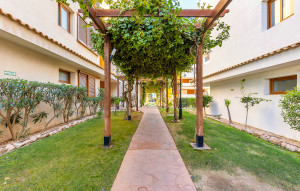 Venta - Apartment -
Punta Prima