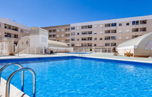 Venta - Studio -
Torrevieja