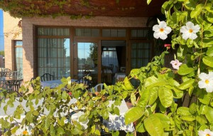 Venta - Business -
Orihuela Costa - Lomas de Cabo Roig