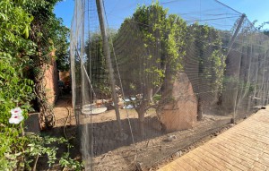 Venta - Business -
Orihuela Costa - Lomas de Cabo Roig
