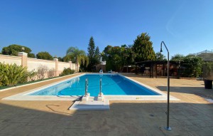 Venta - Business -
Orihuela Costa - Lomas de Cabo Roig
