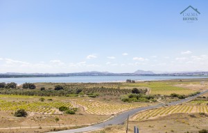 Resale - Apartment -
La Mata