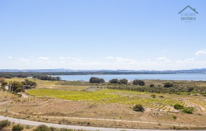 Resale - Apartment -
La Mata